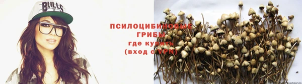 2c-b Алексеевка