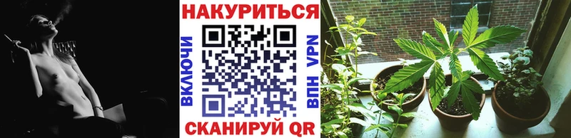 Купить где  Фокино  МАРИХУАНА семена 